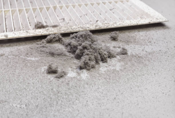 Best Ductwork Cleaning Services  in Independence, LA
